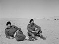 'S. African friends', 3rd County of London Yeomanry, Egypt, 1943