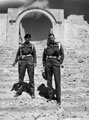 Trooper Fielding and Derek Hawkins, 3rd County of London Yeomanry (Sharpshooters), Cairo, Egypt, 1943