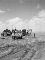 Invasion training. 3rd County of London Yeomanry Sherman tank backing onto a Landing Craft Tank (LCT), North Africa, 1943