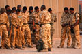 Soldiers from the Commonwealth pray together, Shaibah Logistics Base, Iraq, 2006