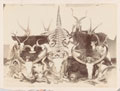 Hunting trophies, 1890 (c)