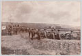 Men of the Naval Brigade manning 12-pounder guns, Natal, 1900 (c)