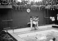 'Barbers still at work', 'Crossing the Line' ceremony, HMT Orion en route to Egypt, 1941