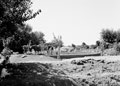 'Primitive irrigation - Water wheels', Egypt, 1942 (c)