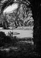 'Officers Mess Abassia', 3rd County of London Yeomanry (Sharpshooters), Cairo, North Africa, 1943