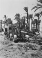 '3.7in A/A Gun',  283rd Battery, Royal Artillery, Egypt, 1942 (c)