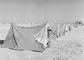 '"Sleepers" Mareopolis', 3rd County of London Yeomanry (Sharpshooters), Egypt, 1942
