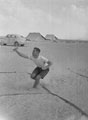 'Deck Tennis', 3rd County of London Yeomanry (Sharpshooters), Egypt, 1942