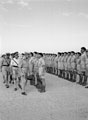 Commanding Officer's parade, 'A' Squadron, 3rd County of London Yeomanry (Sharpshooters), Khatatba, Egypt, 1942