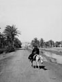 'Road near Cowley', Egypt, 1943