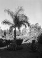 'Grounds of Mena House Hotel', Egypt, 1943