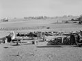 'After the Storm', 3rd County of London Yeomanry (Sharpshooters), Egypt, 1942