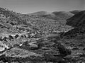'Country between Lydda & Jerusalem', Palestine, 1943