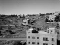 'New Jerusalem', Palestine, 1943