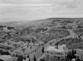 'New Jerusalem', Palestine, 1943