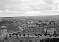 'New Jerusalem', Palestine, 1943