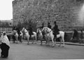 'Mounted Palestine Police', Jerusalem, Palestine, 1943