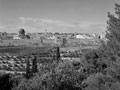 'Mosque of Aman & Red City from Gethsemane', Jerusalem, 1943