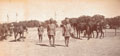 'B' Squadron, 28th Light Cavalry, 1918 (c)