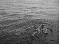 'Swimming in the Dead Sea', 1943