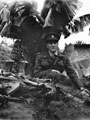 'Jimmy (if you look hard you will see some bananas)', 1943