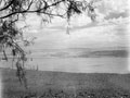 'The Dead Sea', 1943