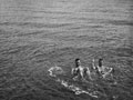 'Swimming in the Dead Sea', 1943