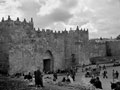 'Damascus Gate', Jerusalem, Palestine, 1943