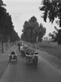 'On the way to Market', Egypt, 1943 (c)