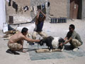 Royal Gurkha Rifles killing a goat in Helmand Province, 2006