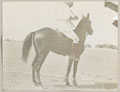 Lieutenant Geoffrey Howell, Quetta Open Polo Tournament, India, 1910