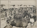 Edward, Prince of Wales, visits the Regimental Camp of the 18th/19th Lancers, Probyn Lines, Delhi, February 1922