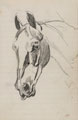 Study of horse's head, 1880 (c)