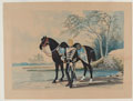 Trooper A Brown, 21st Hussars, 1893