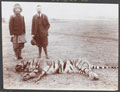 King George V and King Prithvi of Nepal with a shot tiger, 1911 (c)