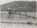 Machine gunners and rifleman engaged in an anti-aircraft exercise, during training at Fanling Camp, New Territories, 1938 (c)