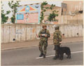 2nd Battalion, Royal Anglian Regiment, Northern Ireland, 1978-1981 (c)