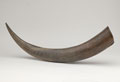 Commemorative scrimshaw buffalo horn, 1858 (c)