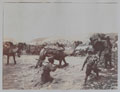 Troops with camels fording the Tank Zam River, 1919 (c)