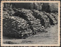 Captured Allied rifles at Dunkirk, 1940