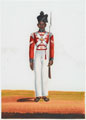 2nd Martin Battalion's Havildar, Madras Army, 1840 (c)