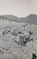 'Constructing Perimeter Camp No. 2', North West Frontier, India, 1937