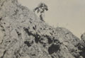 Staged scene of combat with a North West Frontier tribesman holding up the body of a British soldier in rocky terrain, 1937