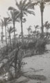 'Somewhere near camp', Sidi Bishr, Egypt, 1936