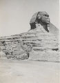 The Sphinx at Giza,  Egypt, 1936