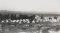 'Jenin Camp', Dorsetshire Regiment , Palestine, 1936