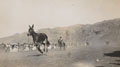 '"The Winner"', horse-racing meeting, Landi Kotal, North West Frontier, India, 1937