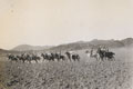 Horse-racing meeting, Landi Kotal, North West Frontier, India, 1937