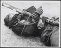 The body of a Malayan insurgent trussed to a stake, brought in by a British patrol, 1952