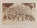 Afghan men, Jellalabad, 1878 (c)
